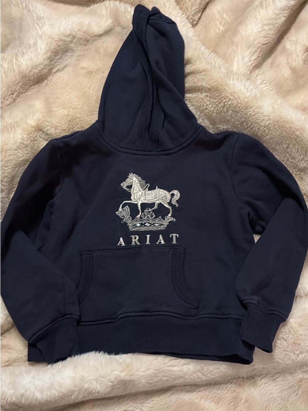 Ariat Navy Hoodie with Embroidered Horse Logo